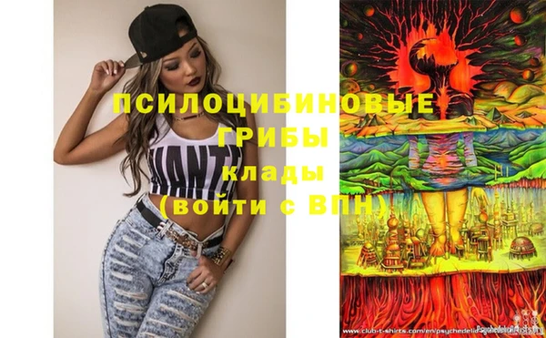 мет Белокуриха