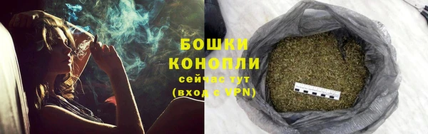 ПСИЛОЦИБИНОВЫЕ ГРИБЫ Богданович
