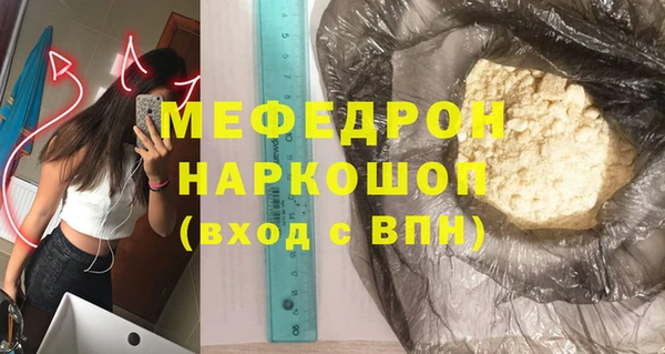 индика Богородицк