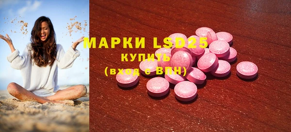ПСИЛОЦИБИНОВЫЕ ГРИБЫ Богданович