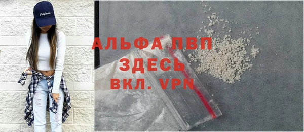 ПСИЛОЦИБИНОВЫЕ ГРИБЫ Богданович
