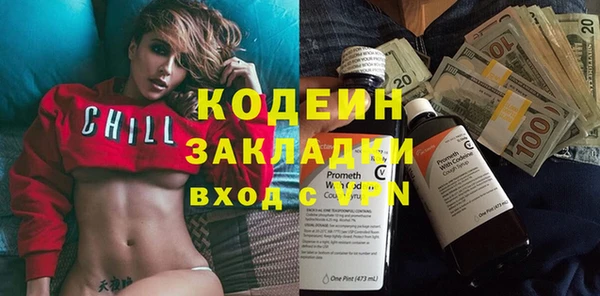 ПСИЛОЦИБИНОВЫЕ ГРИБЫ Богданович