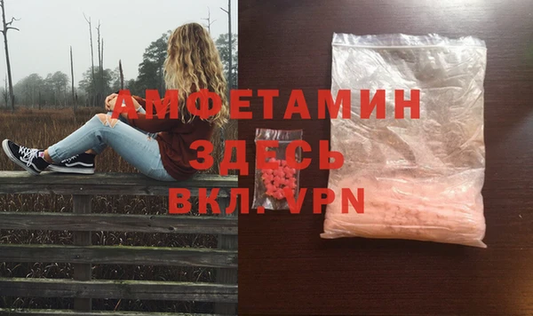ПСИЛОЦИБИНОВЫЕ ГРИБЫ Богданович