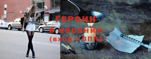 индика Богородицк