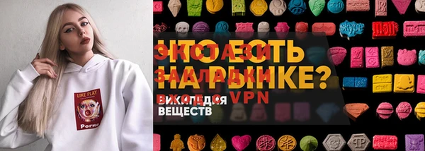 индика Богородицк