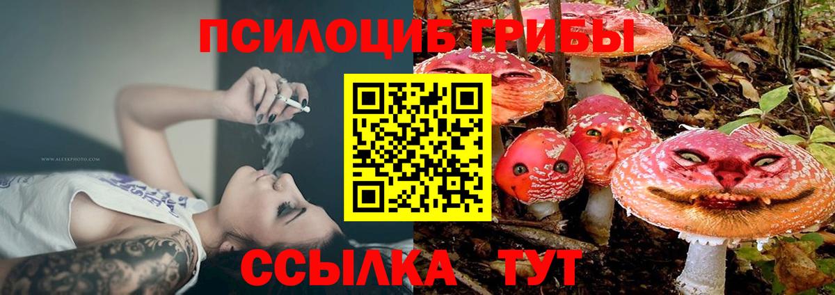 Псилоцибиновые грибы Psilocybe Кушва